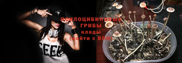 скорость Дмитриев