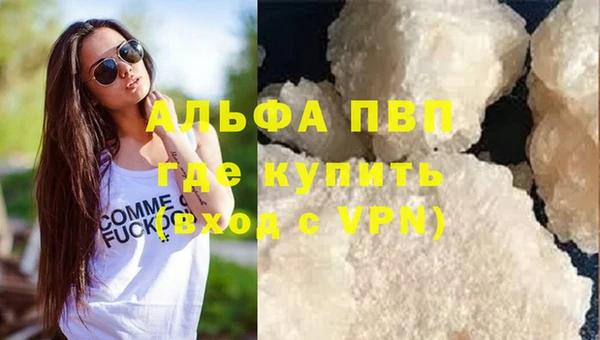 спайс Новодвинск