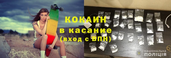индика Няндома