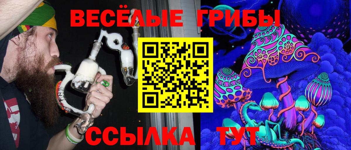 Галлюциногенные грибы Cubensis Донской