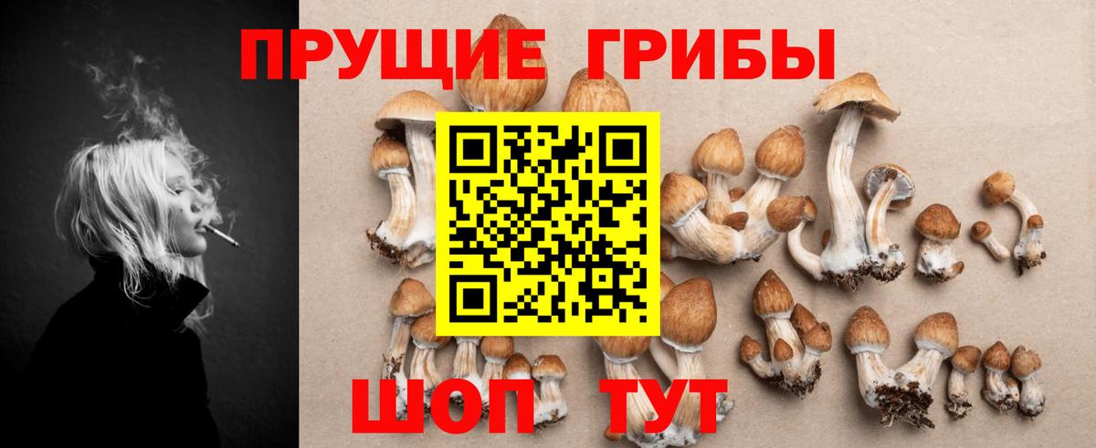 Галлюциногенные грибы GOLDEN TEACHER  Вход с VPN  Галлюциногенные грибы ЛСД  Донской 