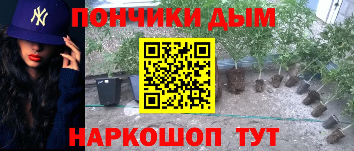 МАРИХУАНА планчик Донской