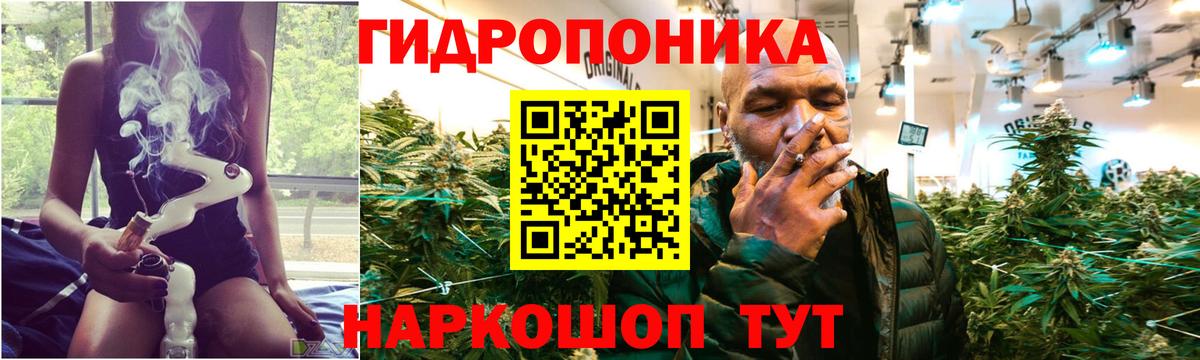 Марихуана AK-47  Марихуана AK-47  Марихуана AK-47  Марихуана AK-47  Донской  Марихуана AK-47  Марихуана AK-47 